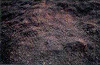 08932e06e655120e7a252a84eb93f047__1460815088.jpg